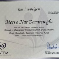 Resmi büyüt: certificate 3