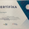 Resmi büyüt: certificate 1