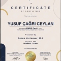 Resmi büyüt: certificate 3