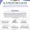 Resmi büyüt: certificate 4