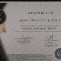 Resmi büyüt: certificate 3