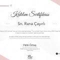 Resmi büyüt: certificate 5