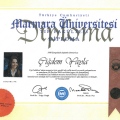 Resmi büyüt: certificate 2
