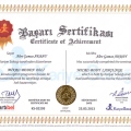 Resmi büyüt: certificate 26
