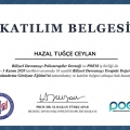 Resmi büyüt: certificate 9