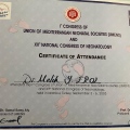 Resmi büyüt: certificate 23