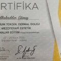 Resmi büyüt: certificate 2