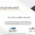 Resmi büyüt: certificate 5