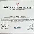 Resmi büyüt: certificate 10
