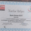Resmi büyüt: certificate 2
