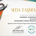 Resmi büyüt: certificate 3