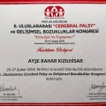 Resmi büyüt: certificate 17