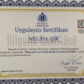 Resmi büyüt: certificate 4