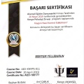 Resmi büyüt: certificate 10