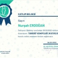 Resmi büyüt: certificate 13