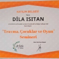 Resmi büyüt: certificate 12