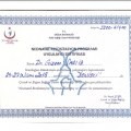 Resmi büyüt: certificate 6