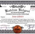 Resmi büyüt: certificate 6