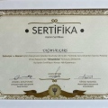 Resmi büyüt: certificate 10