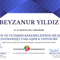 Resmi büyüt: certificate 4