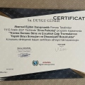 Resmi büyüt: certificate 13