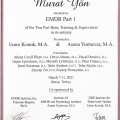 Resmi büyüt: certificate 2