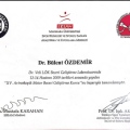 Resmi büyüt: certificate 9
