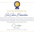 Resmi büyüt: certificate 13