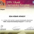 Resmi büyüt: certificate 4