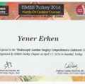 Resmi büyüt: certificate 3