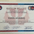 Resmi büyüt: certificate 17