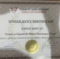 Resmi büyüt: certificate 3