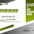 Resmi büyüt: certificate 3