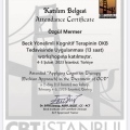 Resmi büyüt: certificate 1
