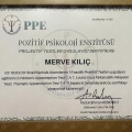 Resmi büyüt: certificate 7