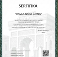 Resmi büyüt: certificate 8