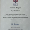Resmi büyüt: certificate 8