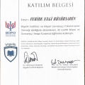 Resmi büyüt: certificate 2