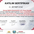 Resmi büyüt: certificate 7