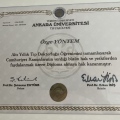 Resmi büyüt: certificate 2
