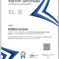 Resmi büyüt: certificate 3