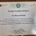 Resmi büyüt: certificate 19