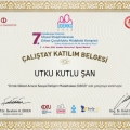 Resmi büyüt: certificate 26