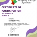 Resmi büyüt: certificate 4