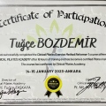 Resmi büyüt: certificate 9