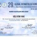 Resmi büyüt: certificate 8