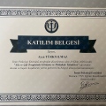 Resmi büyüt: certificate 2