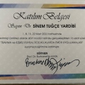Resmi büyüt: certificate 6