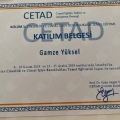 Resmi büyüt: certificate 8