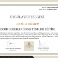 Resmi büyüt: certificate 67